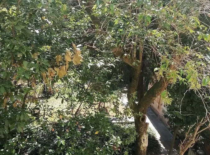 Ca' Alessandro شقة