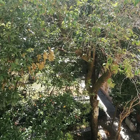 Ca' Alessandro Apartmán